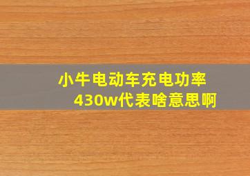 小牛电动车充电功率430w代表啥意思啊