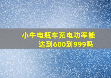 小牛电瓶车充电功率能达到600到999吗