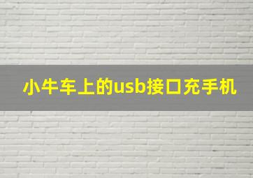 小牛车上的usb接口充手机