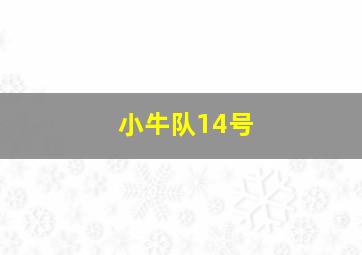 小牛队14号