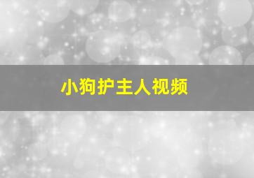 小狗护主人视频