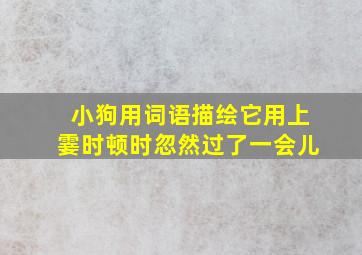 小狗用词语描绘它用上霎时顿时忽然过了一会儿