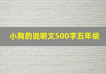 小狗的说明文500字五年级