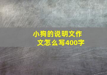 小狗的说明文作文怎么写400字