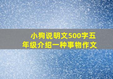 小狗说明文500字五年级介绍一种事物作文