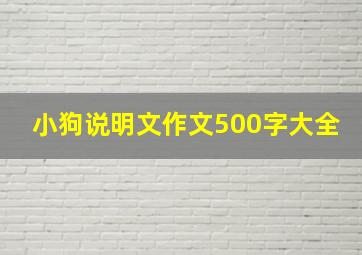 小狗说明文作文500字大全