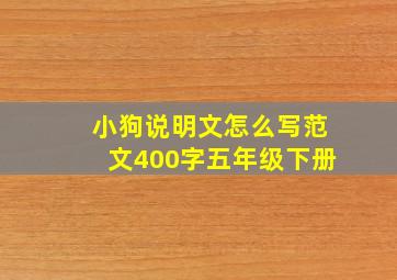 小狗说明文怎么写范文400字五年级下册