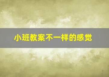 小班教案不一样的感觉