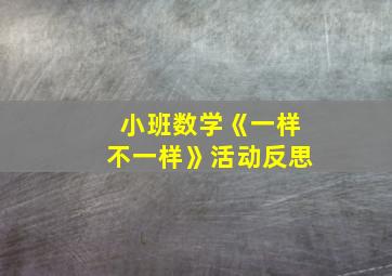 小班数学《一样不一样》活动反思