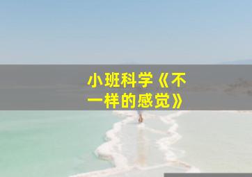 小班科学《不一样的感觉》