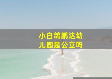 小白鸽鹏达幼儿园是公立吗