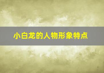 小白龙的人物形象特点