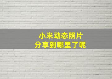 小米动态照片分享到哪里了呢