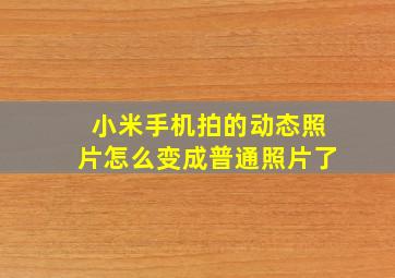 小米手机拍的动态照片怎么变成普通照片了