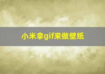 小米拿gif来做壁纸