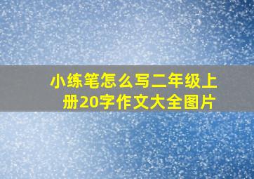 小练笔怎么写二年级上册20字作文大全图片