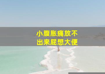 小腹胀痛放不出来屁想大便