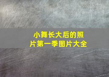 小舞长大后的照片第一季图片大全