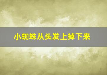 小蜘蛛从头发上掉下来