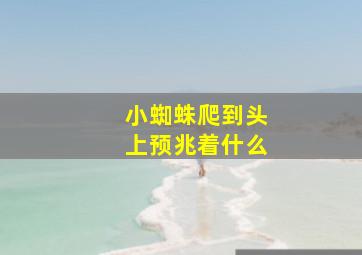 小蜘蛛爬到头上预兆着什么