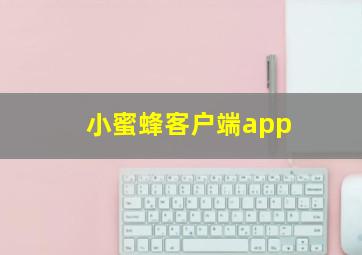 小蜜蜂客户端app