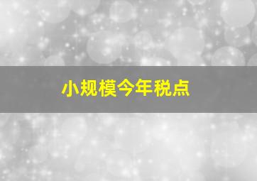 小规模今年税点