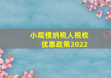 小规模纳税人税收优惠政策2022