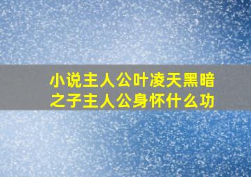 小说主人公叶凌天黑暗之子主人公身怀什么功