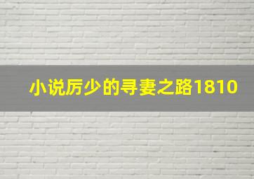 小说厉少的寻妻之路1810