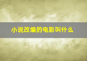 小说改编的电影叫什么