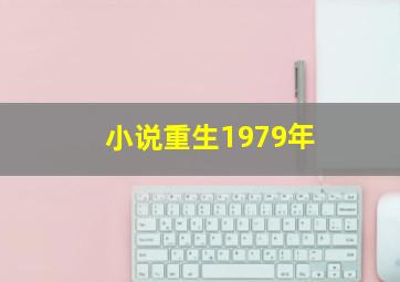 小说重生1979年