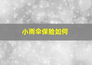 小雨伞保险如何