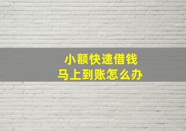 小额快速借钱马上到账怎么办