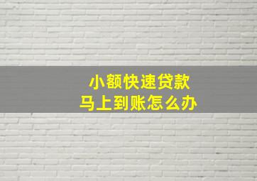 小额快速贷款马上到账怎么办