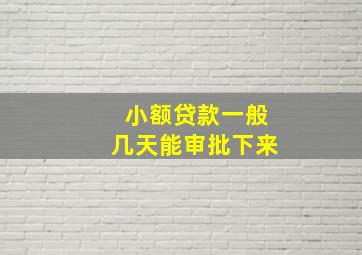 小额贷款一般几天能审批下来