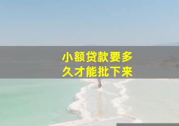 小额贷款要多久才能批下来