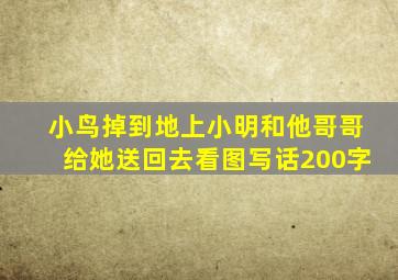 小鸟掉到地上小明和他哥哥给她送回去看图写话200字