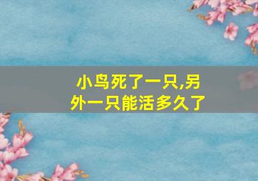 小鸟死了一只,另外一只能活多久了