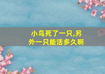 小鸟死了一只,另外一只能活多久啊