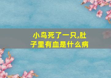 小鸟死了一只,肚子里有血是什么病