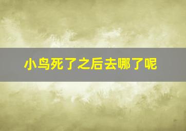 小鸟死了之后去哪了呢