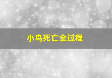 小鸟死亡全过程