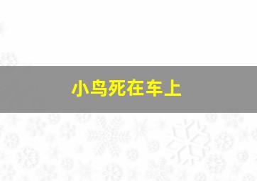 小鸟死在车上