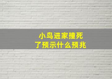 小鸟进家撞死了预示什么预兆