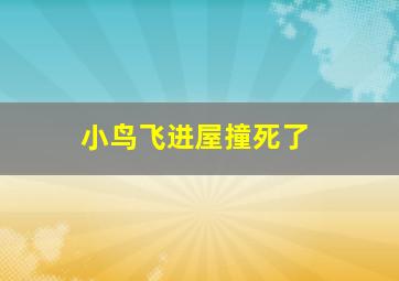 小鸟飞进屋撞死了