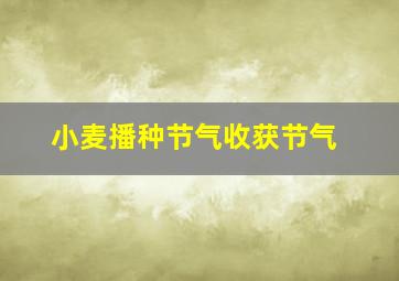 小麦播种节气收获节气