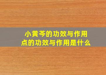 小黄芩的功效与作用点的功效与作用是什么