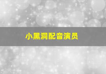 小黑洞配音演员