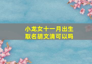 小龙女十一月出生取名胡文清可以吗