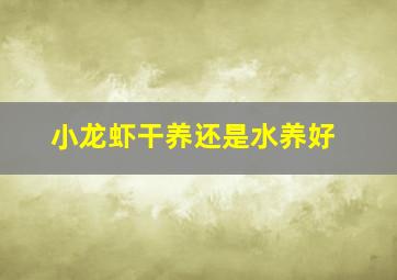 小龙虾干养还是水养好